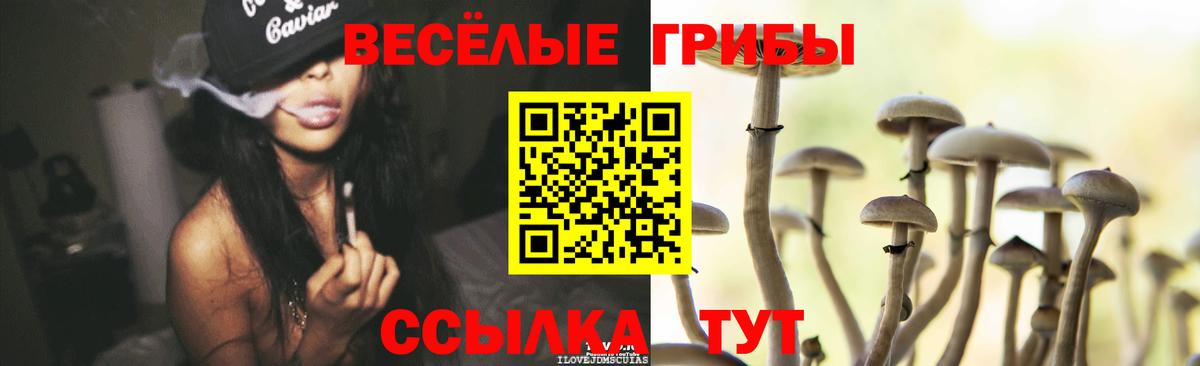 Новокуйбышевск  Псилоцибиновые грибы Cubensis  Вход с VPN 